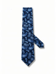 Nabeel & Aqeel Navy Blue Paisley Pattern Tie with White and Light Blue Accents
